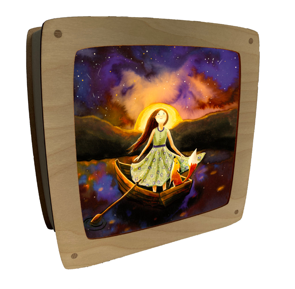 plaat zonnewende / sheet solstice