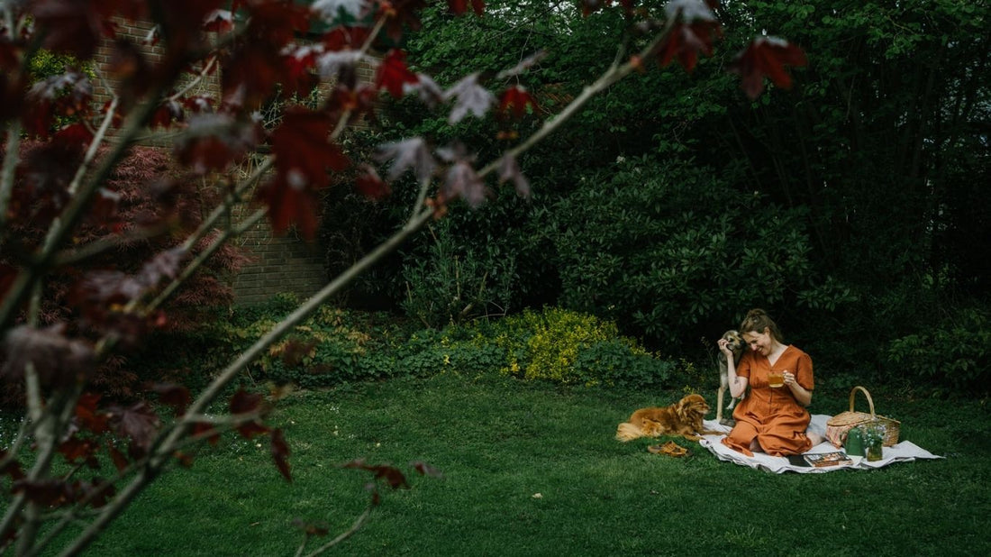 Handleiding voor een mopperdag