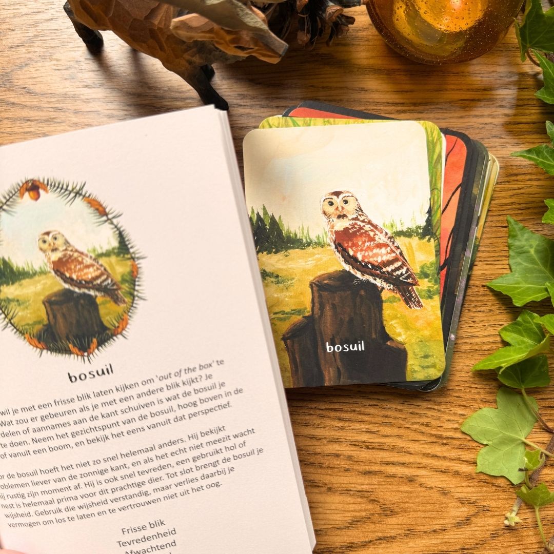 Berichten uit het bos - inspiratiekaarten