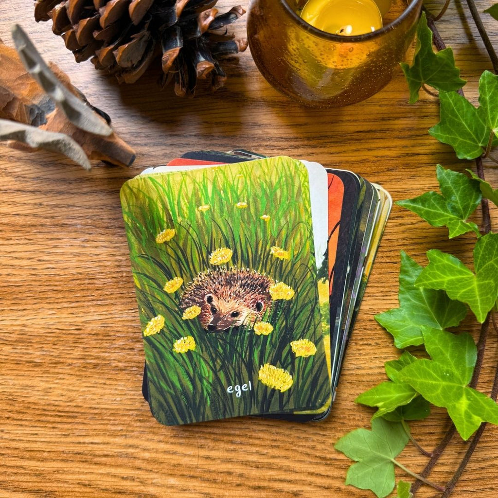 Berichten uit het bos - inspiratiekaarten
